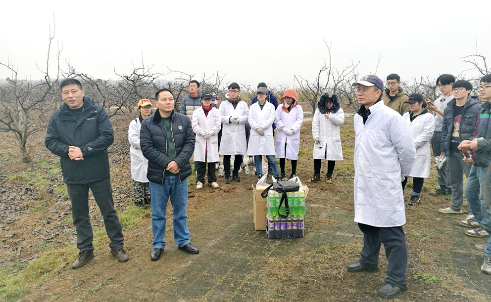 我院举办2015级园艺专业果树冬季修剪技能竞赛-华中农业大学园艺林学